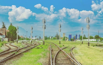 Hydrogen annealing for railway signaling relays