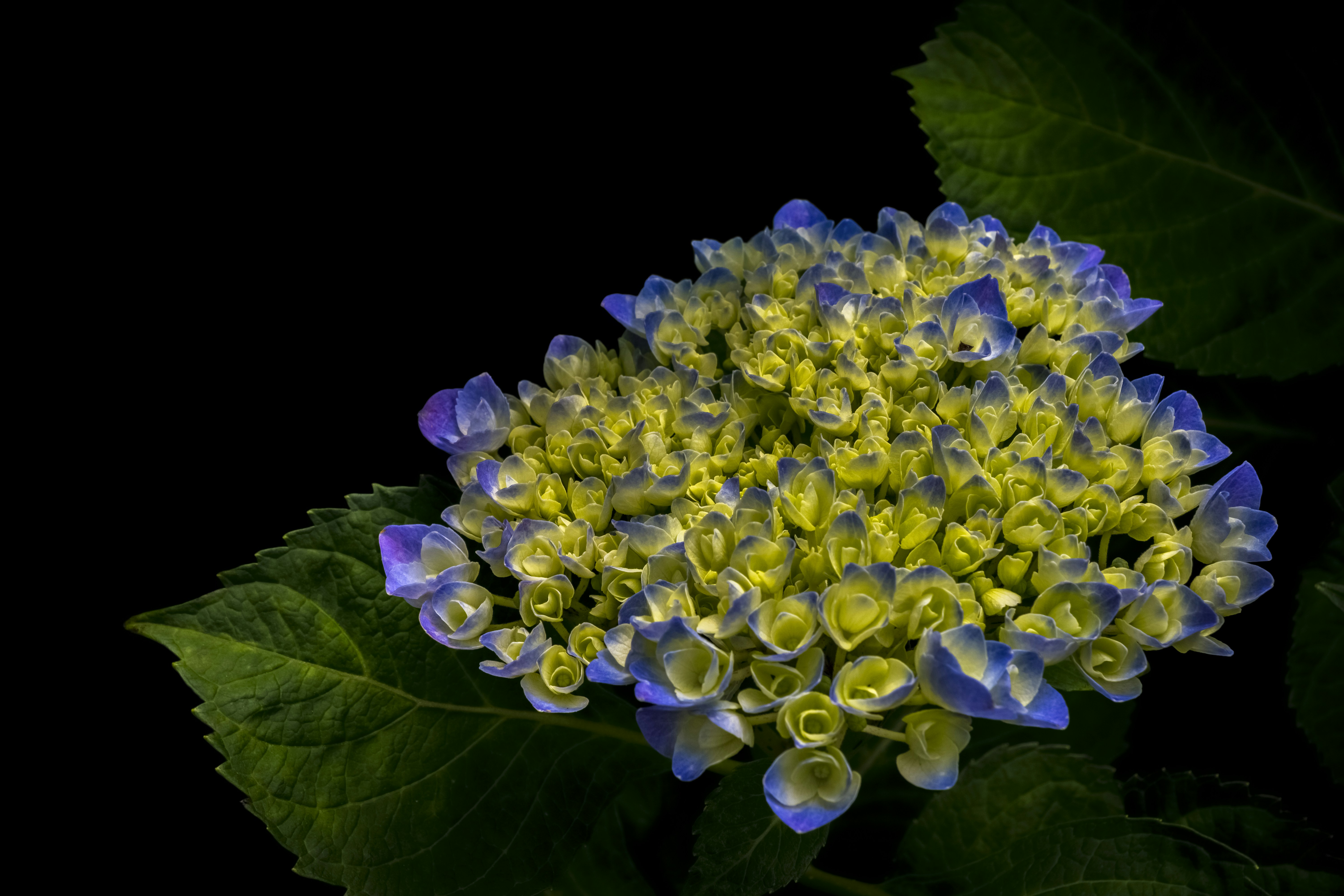 Perles naturelles et cristal