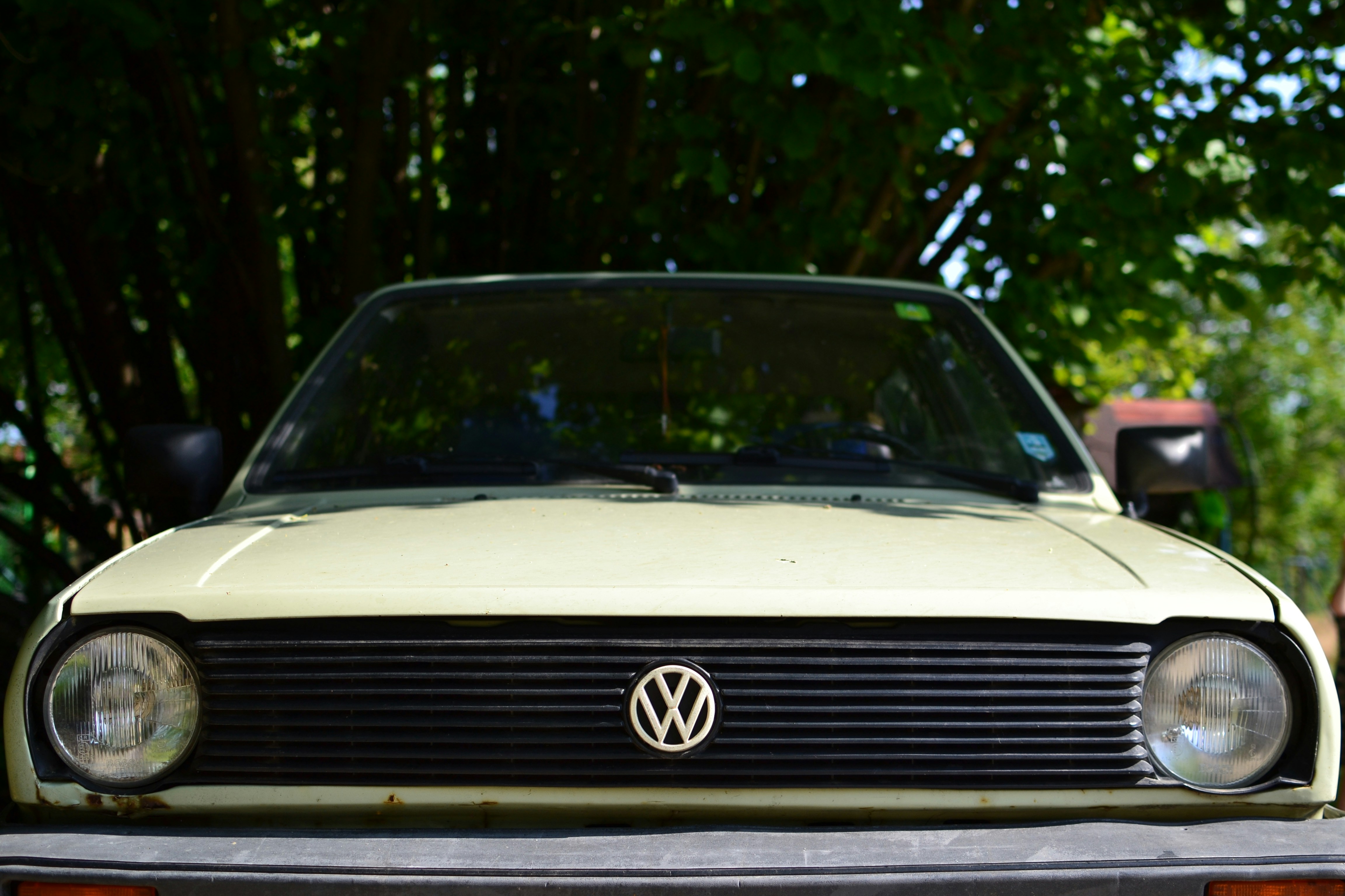 Free Unsplash photo from Szűcs László