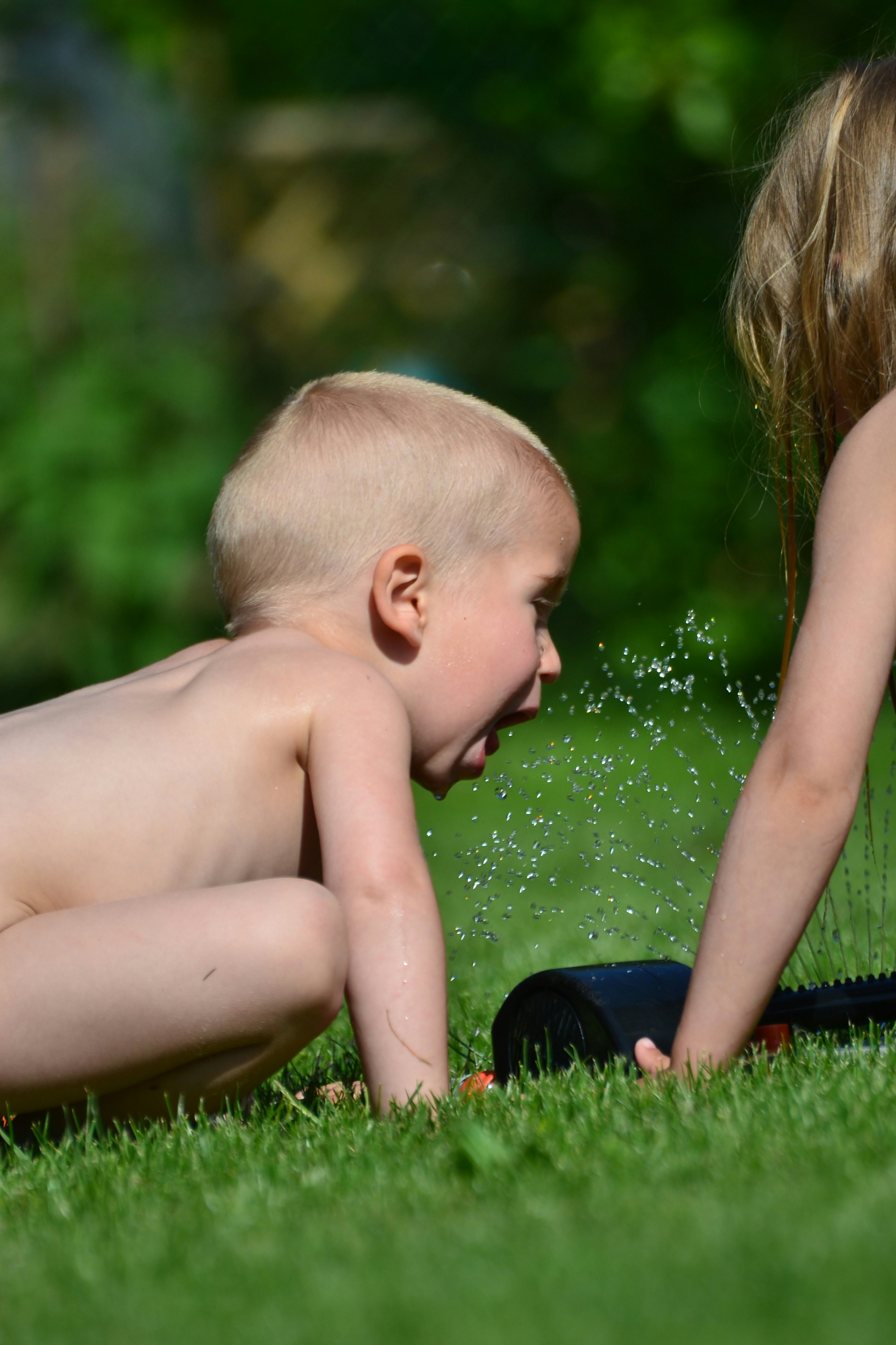 Free Unsplash photo from Szűcs László