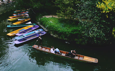 boat on body of water beside green leafed tree