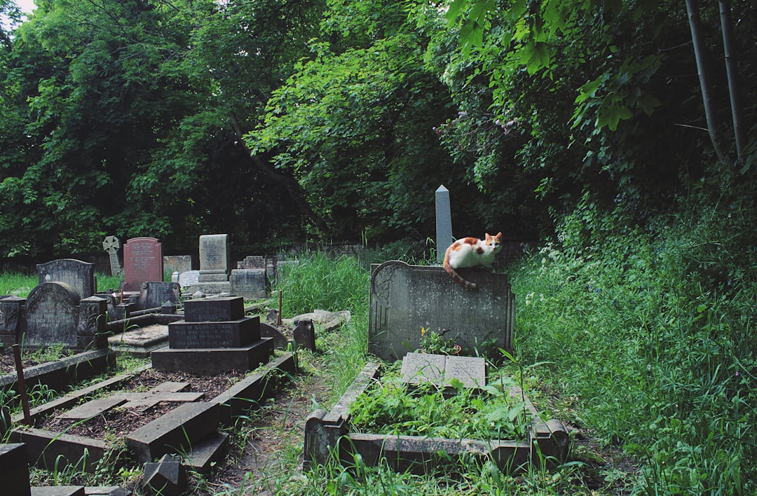 Jungle photo spot Holy Trinity Church Headington Quarry Salisbury