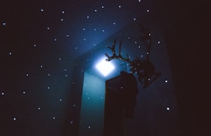 Estrellas Brillantes