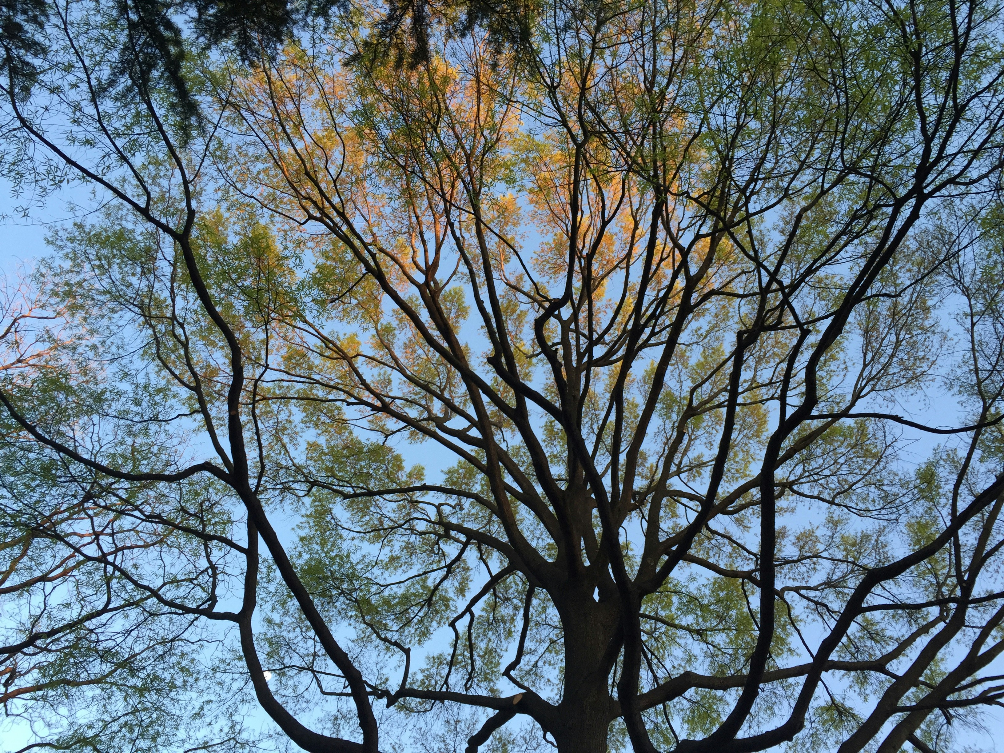 Free Unsplash photo from Kirby Crider