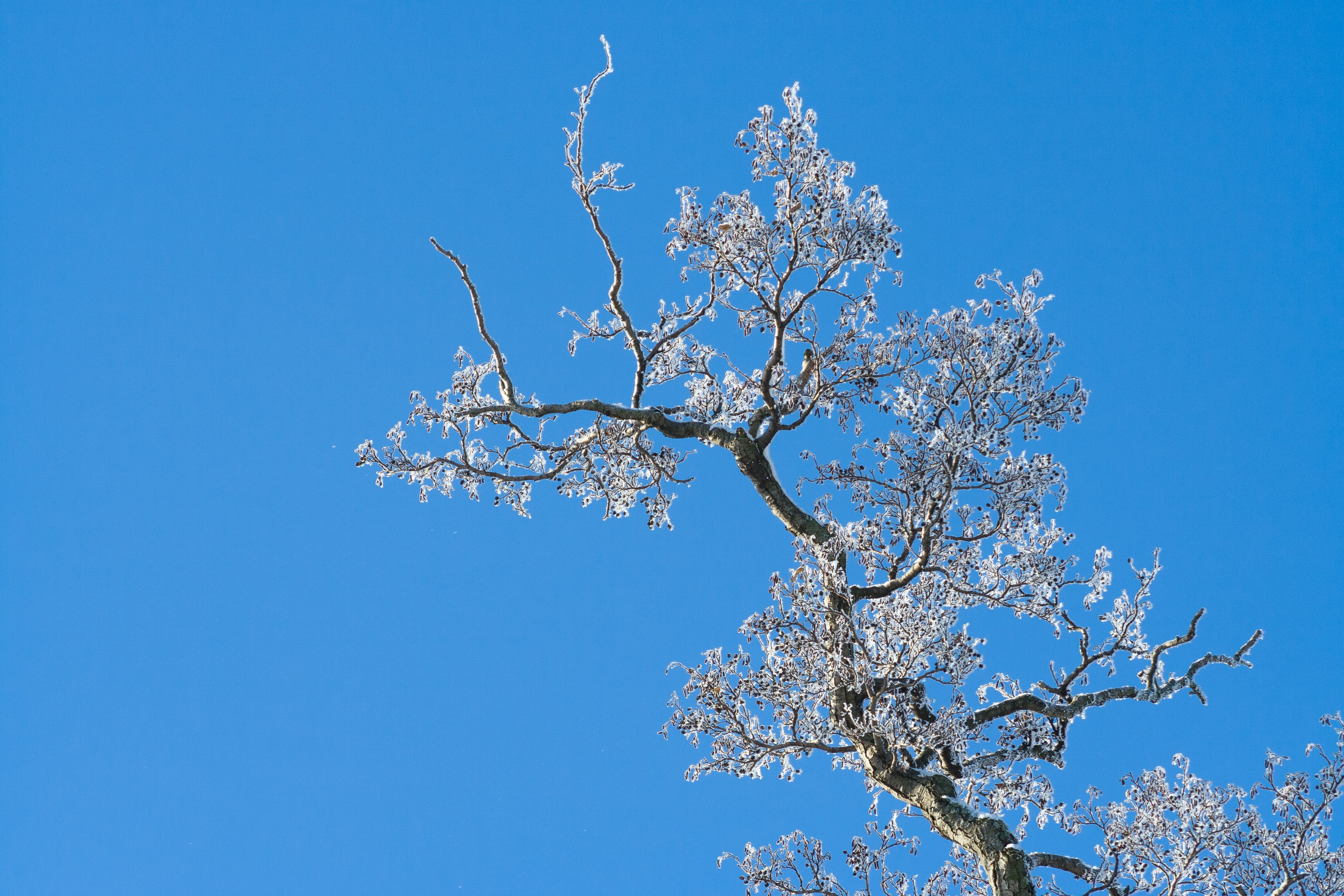 Free Unsplash photo from Juha Lakaniemi