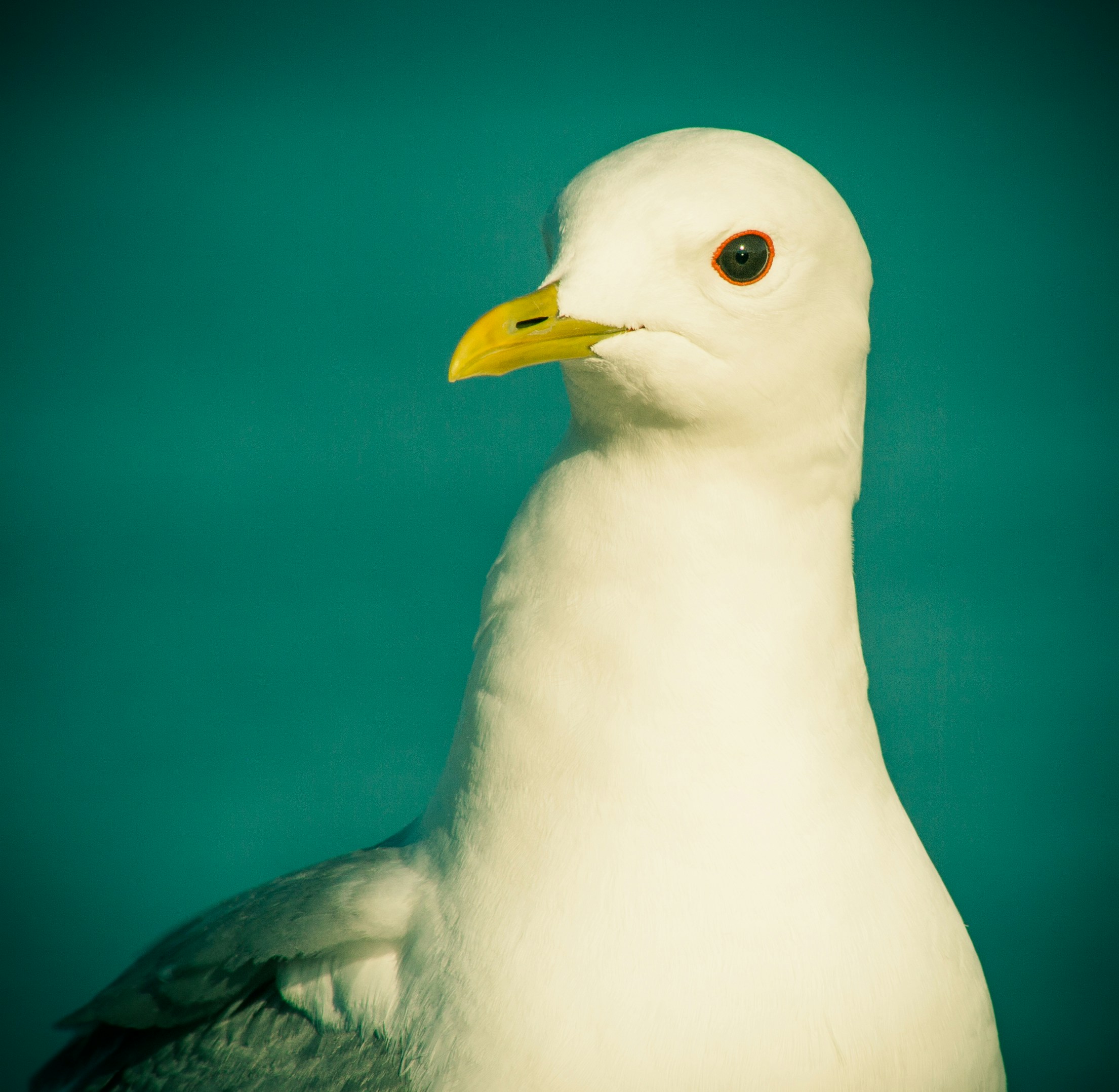 Free Unsplash photo from Juha Lakaniemi