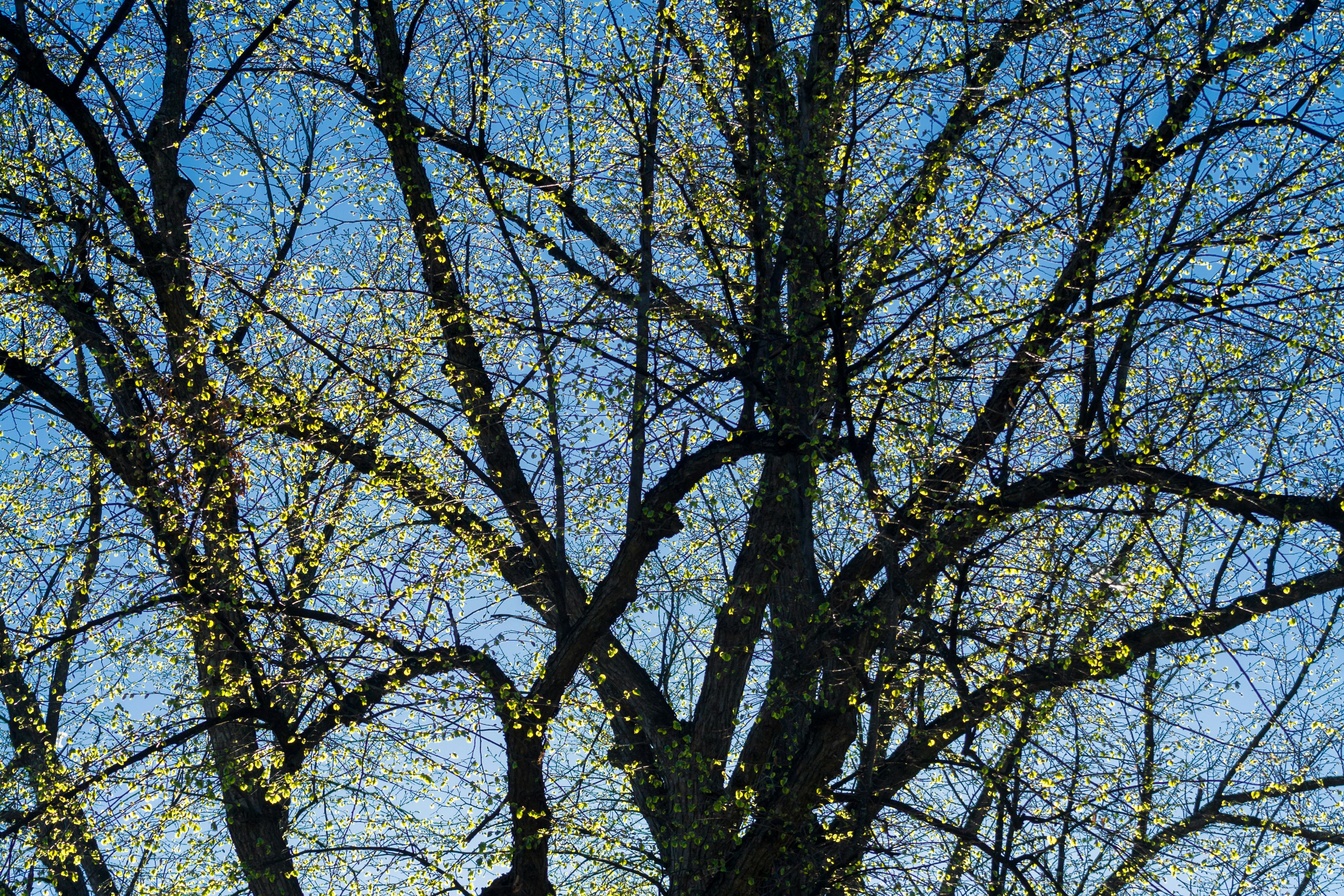 Free Unsplash photo from Juha Lakaniemi