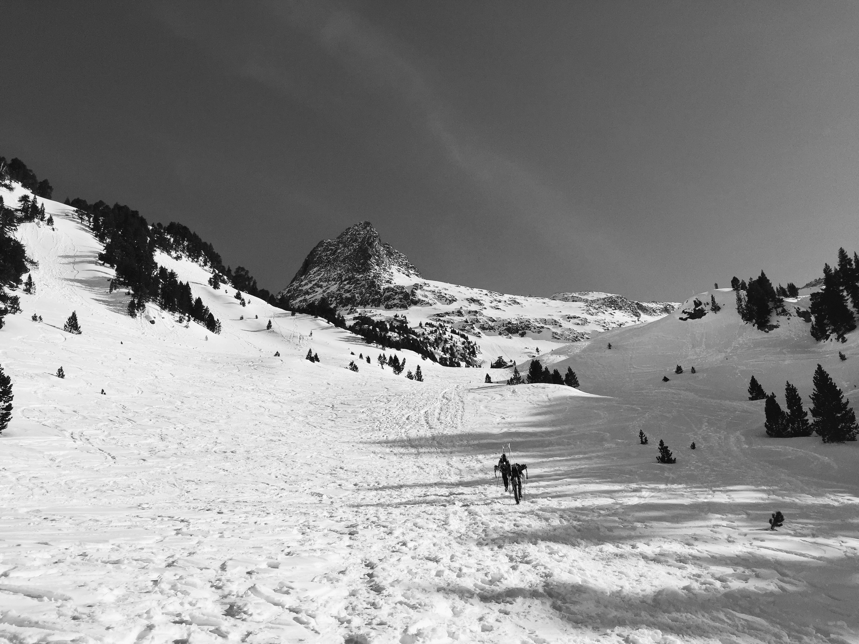 Free Unsplash photo from pablo sánchez