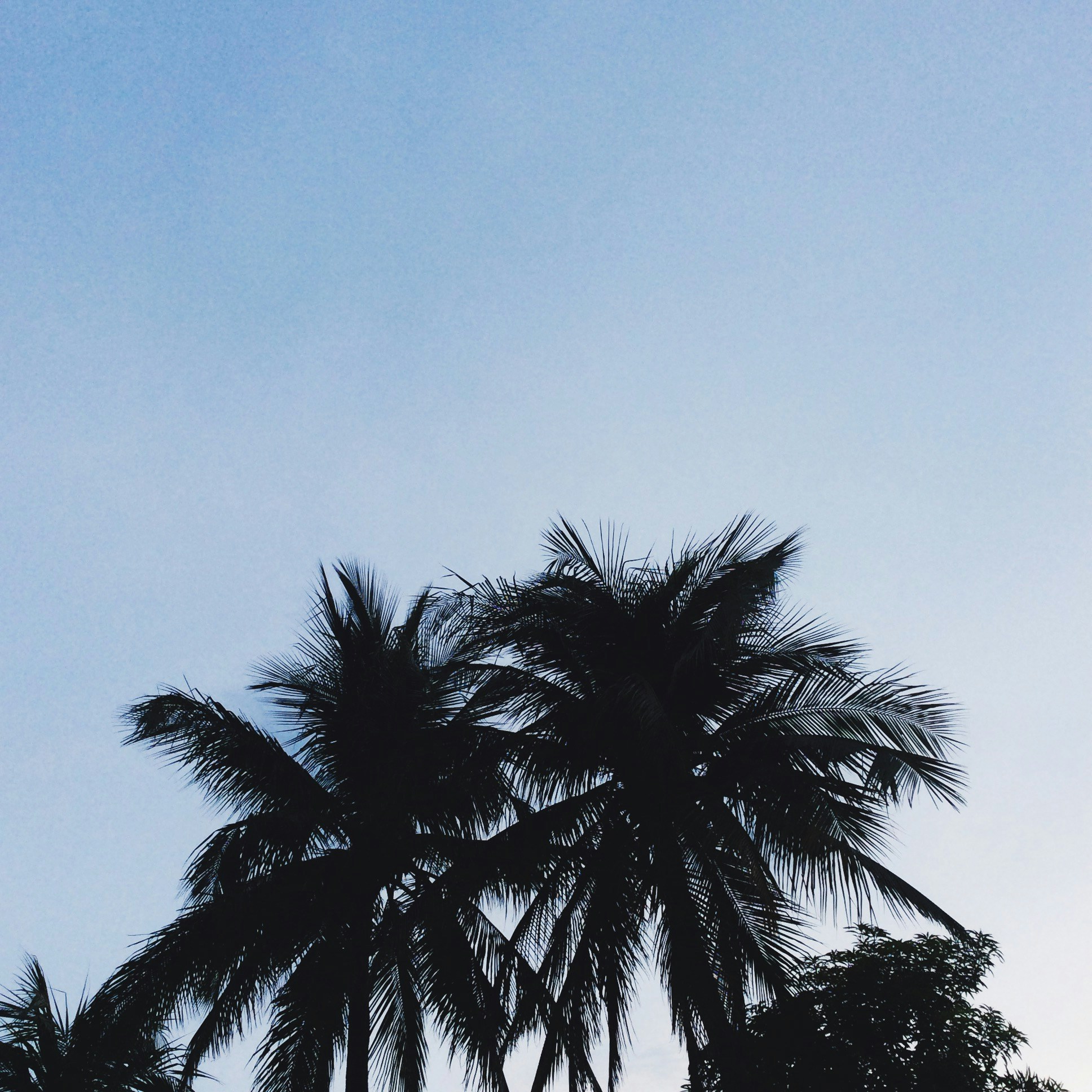 Free Unsplash photo from Paul Sese