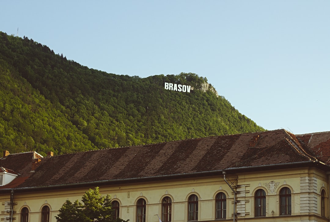 Hill photo spot Nicolae Titulescu Holbav