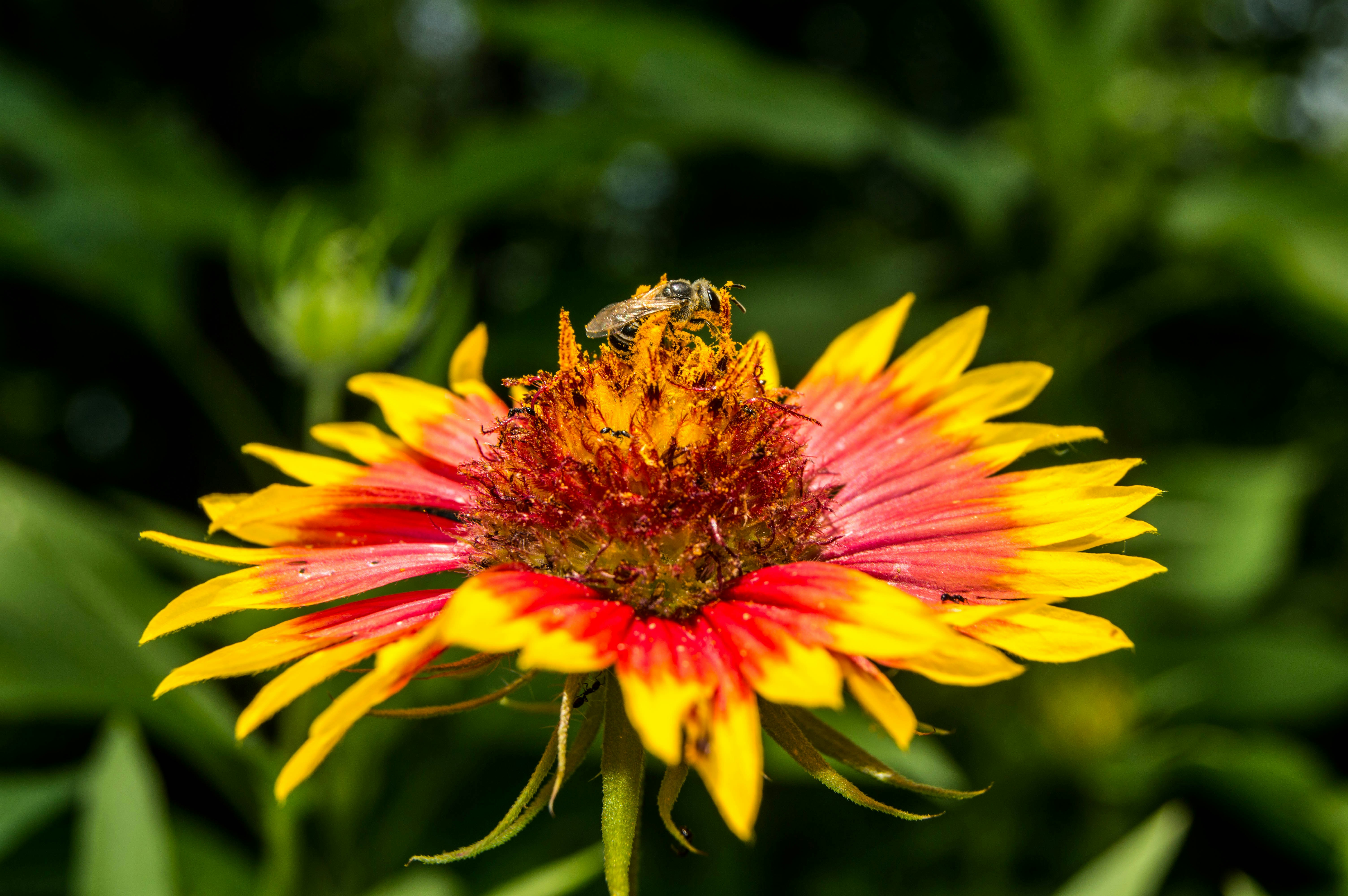 Free Unsplash photo from Meghan Allen