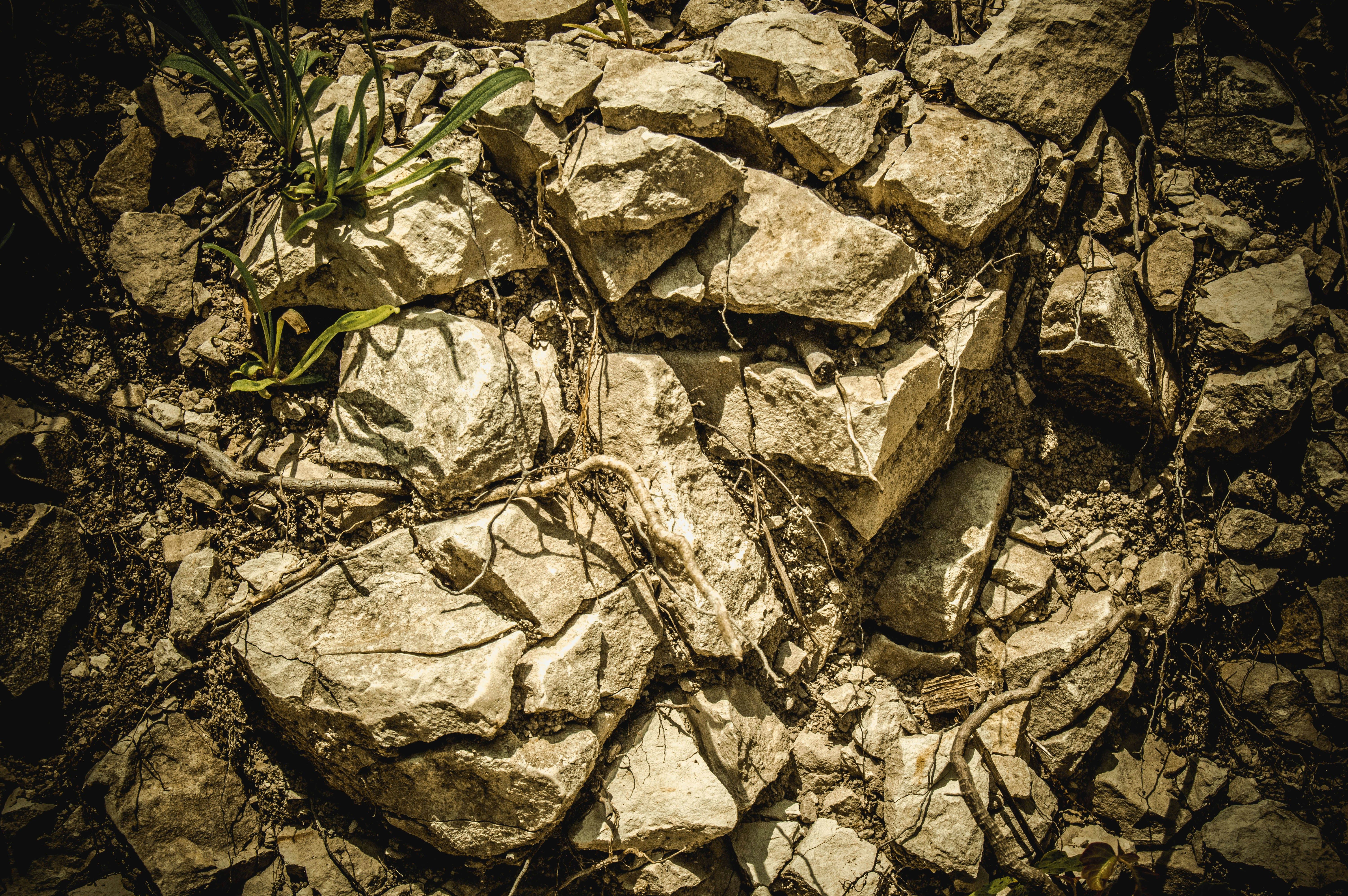 Free Unsplash photo from Meghan Allen