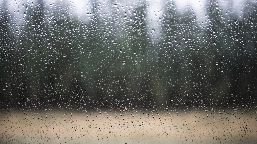 a rain covered window with trees in the background