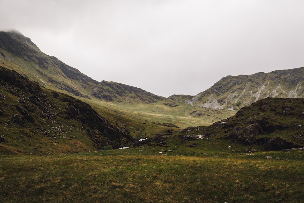 Berge, die tagsüber von Bäumen bedeckt sind, unter grauem Himmel