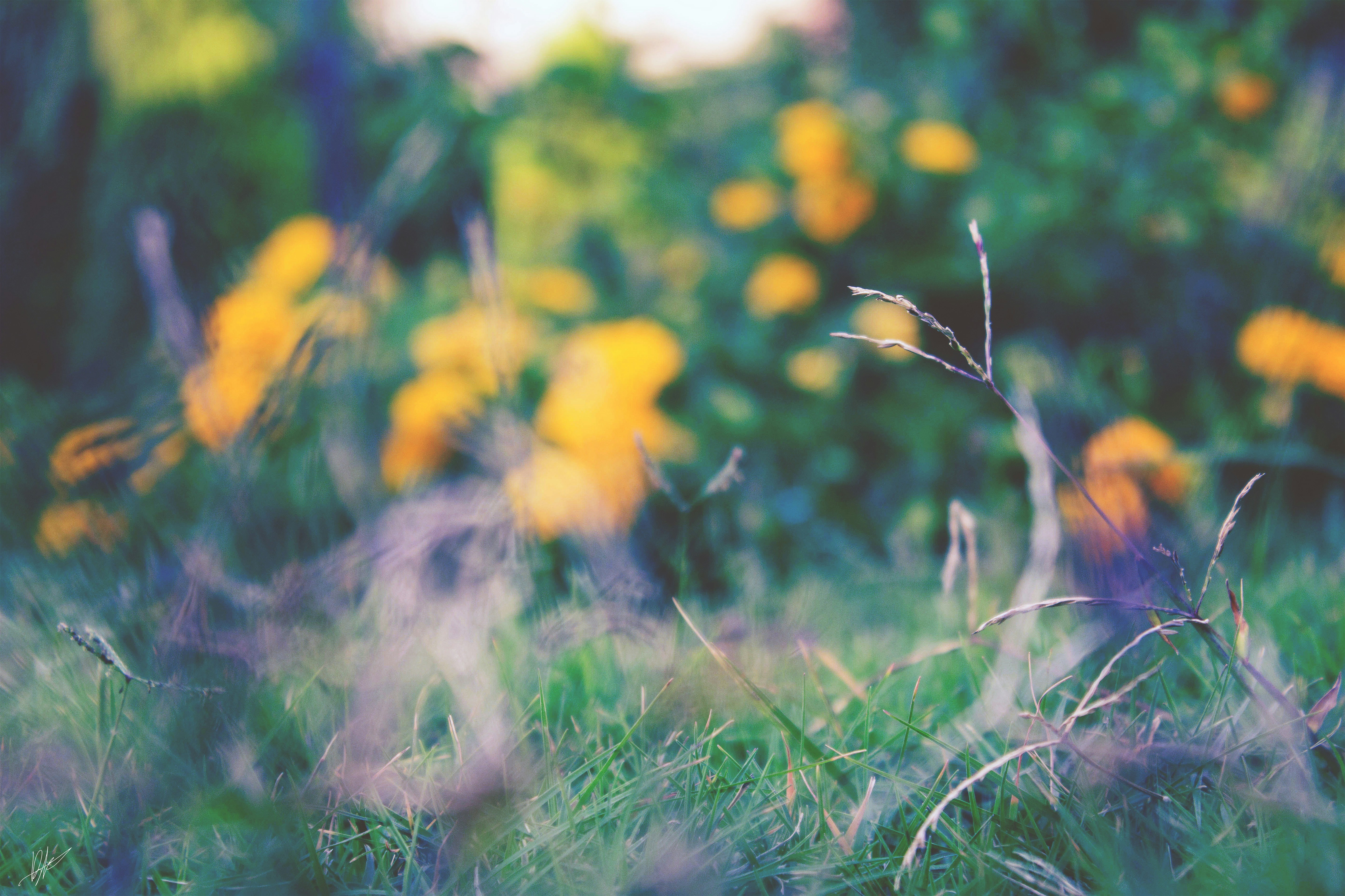 Free Unsplash photo from Baher Khairy