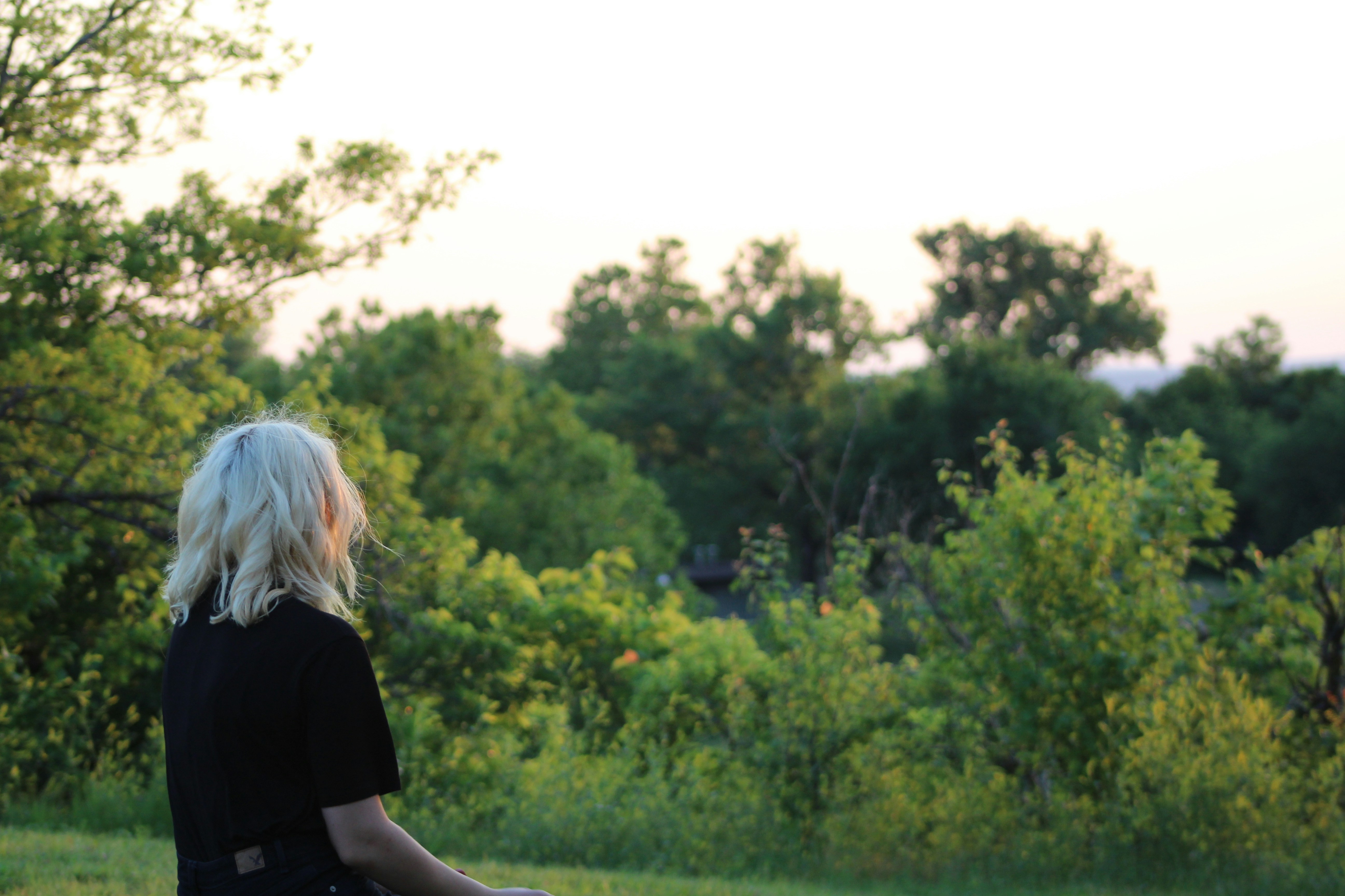 Free Unsplash photo from Mikayla Mallek