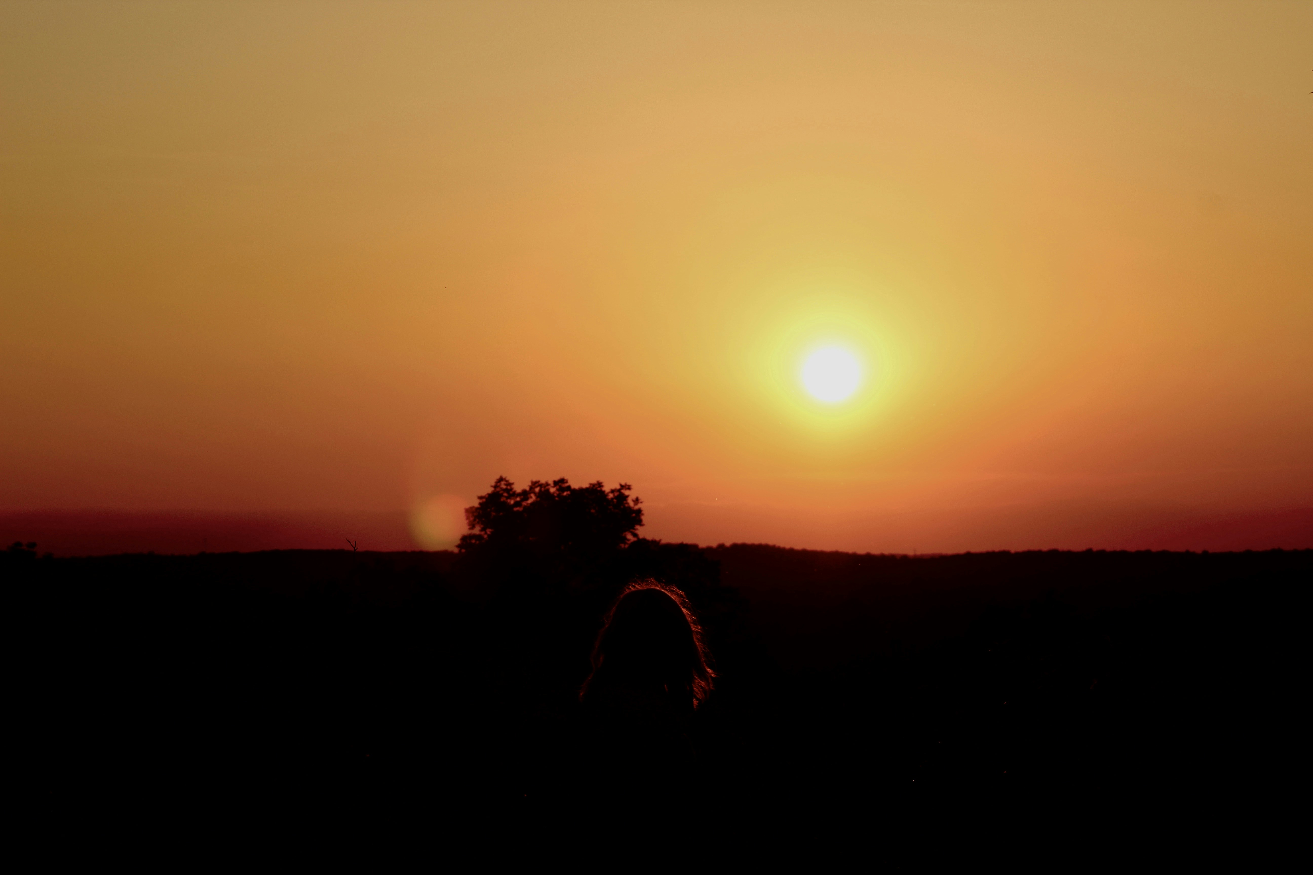 Free Unsplash photo from Mikayla Mallek