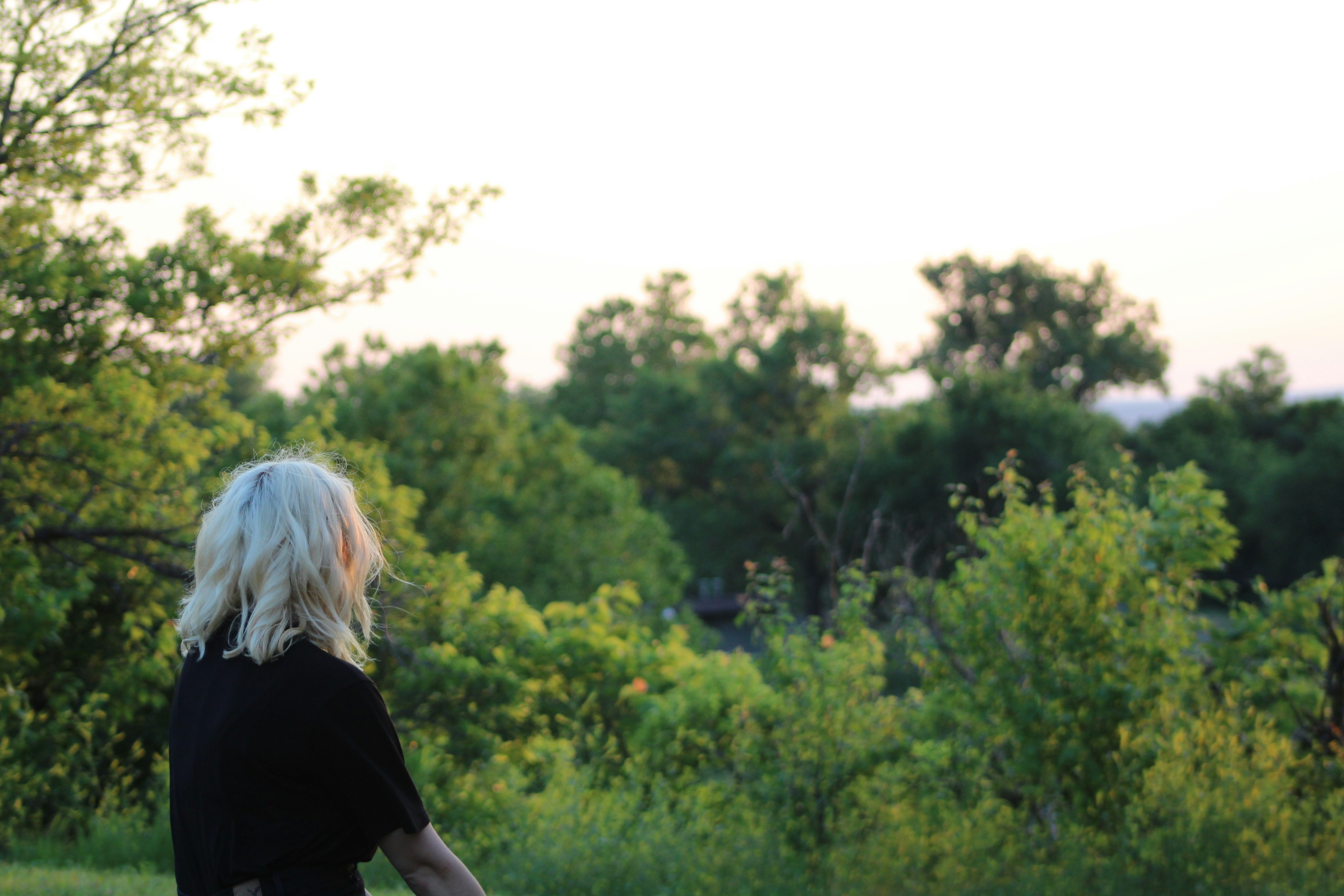 Free Unsplash photo from Mikayla Mallek