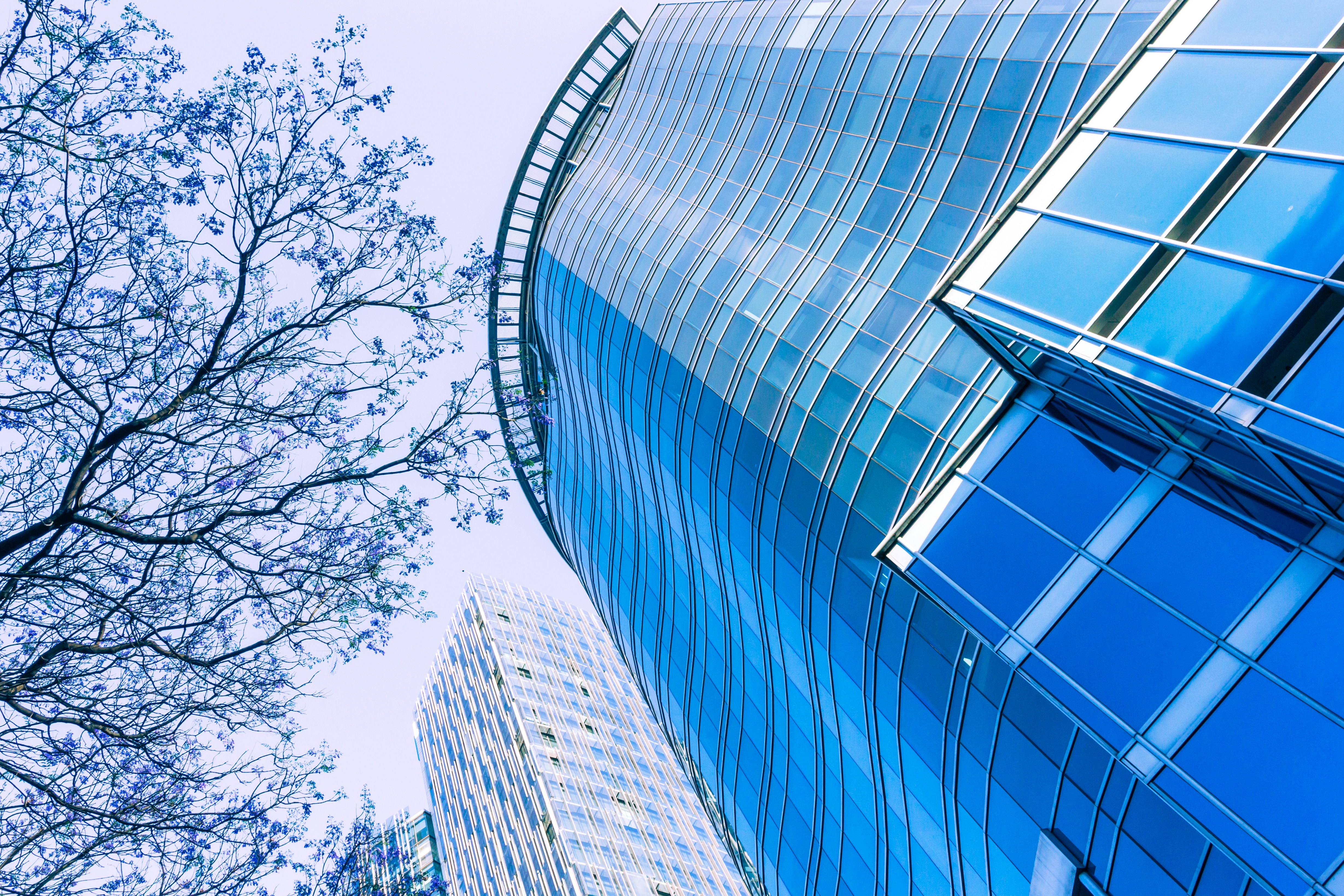 Free Unsplash photo from Suriel Ramzal