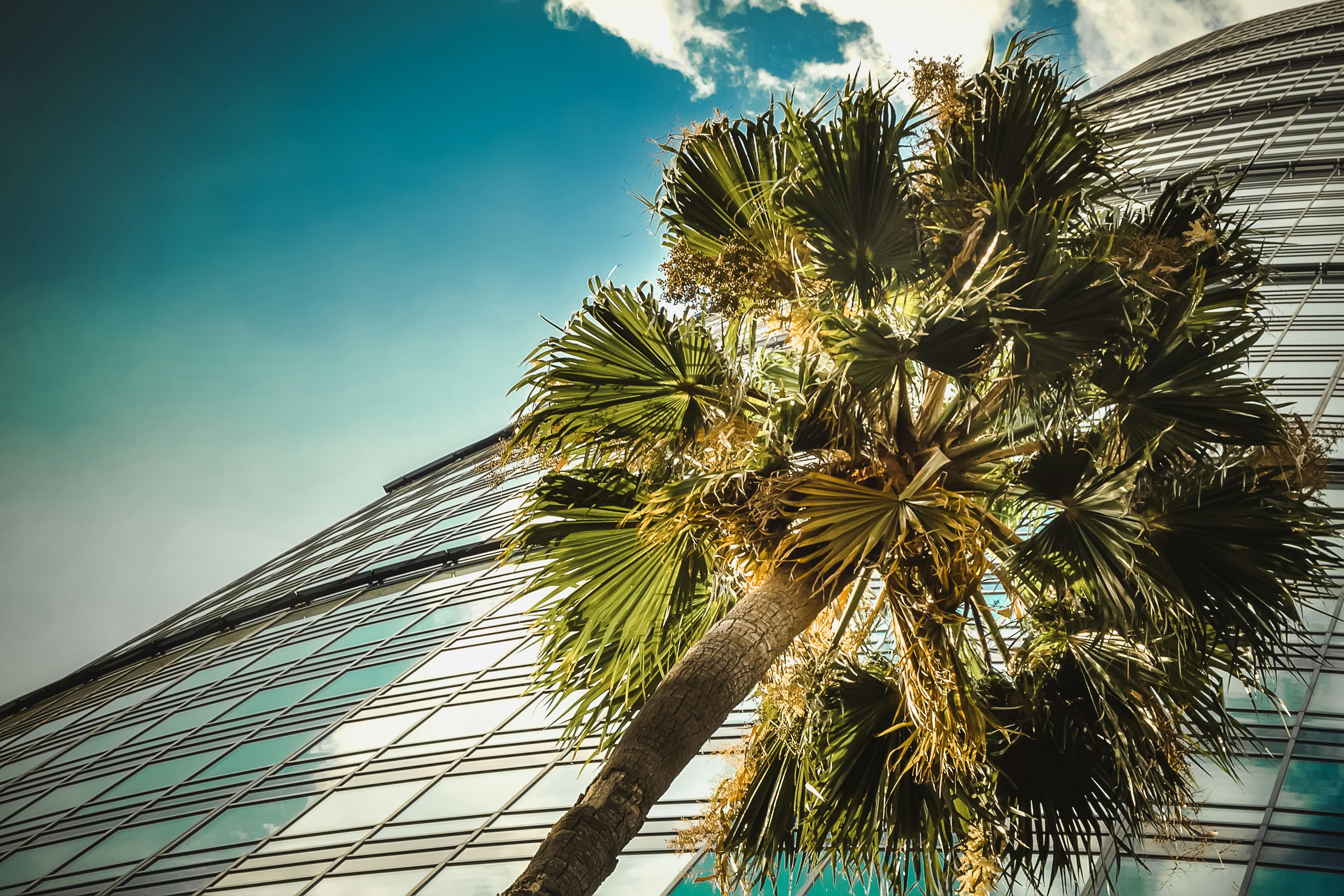 Free Unsplash photo from Suriel Ramzal