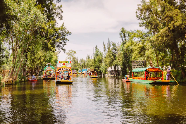 A colorful trajinera floating on Xochimilco canals surrounded by blooming water lilies and an axolotl swimming beneath.