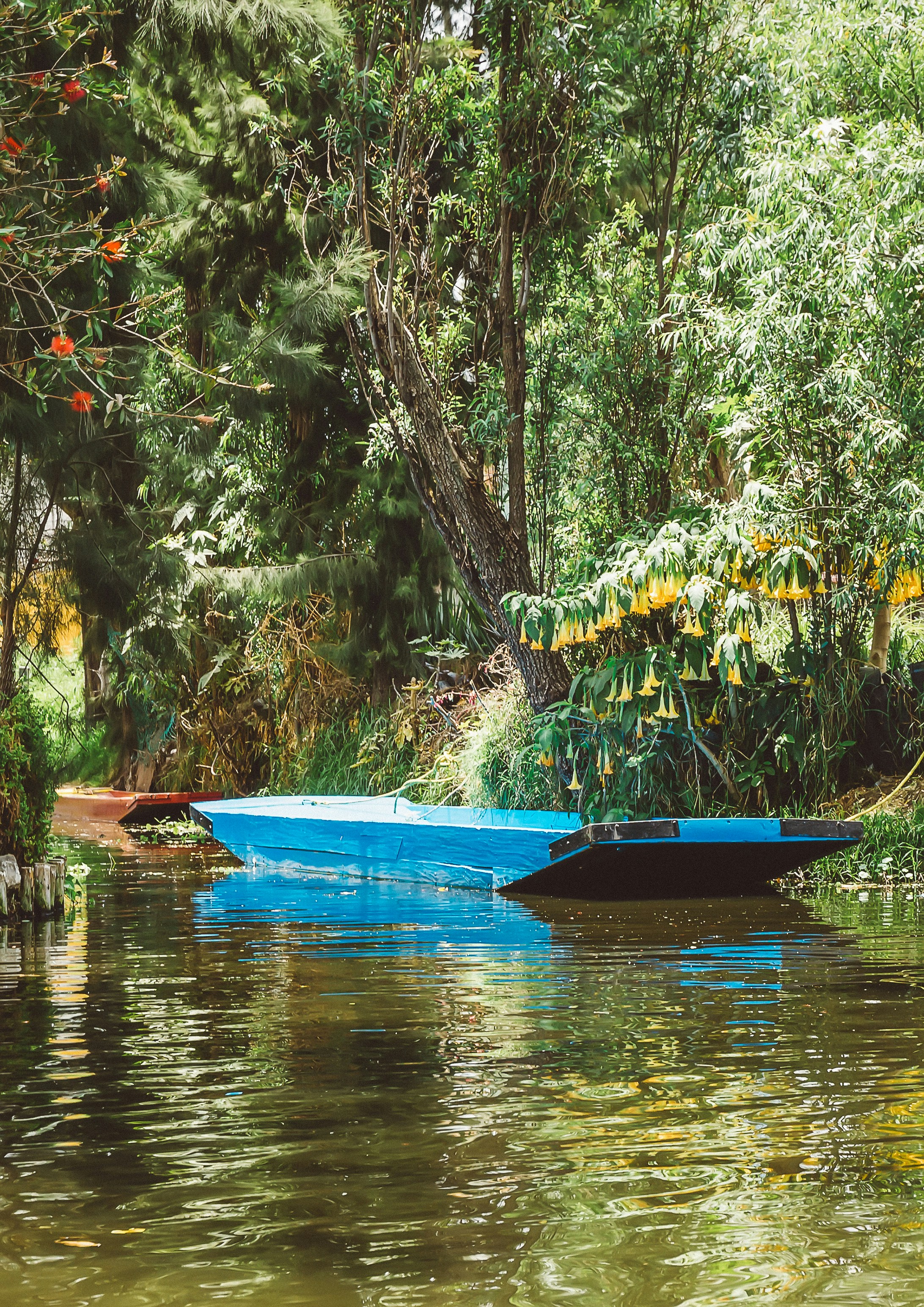 Free Unsplash photo from Suriel Ramzal