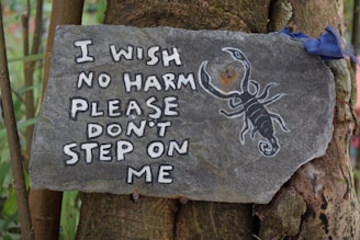 A stone sign attached to a tree trunk features a white-painted message and a scorpion drawing. The text reads: 'I WISH NO HARM PLEASE DON'T STEP ON ME.' The background consists of tree bark and some blue ribbon partially visible at the top right corner.