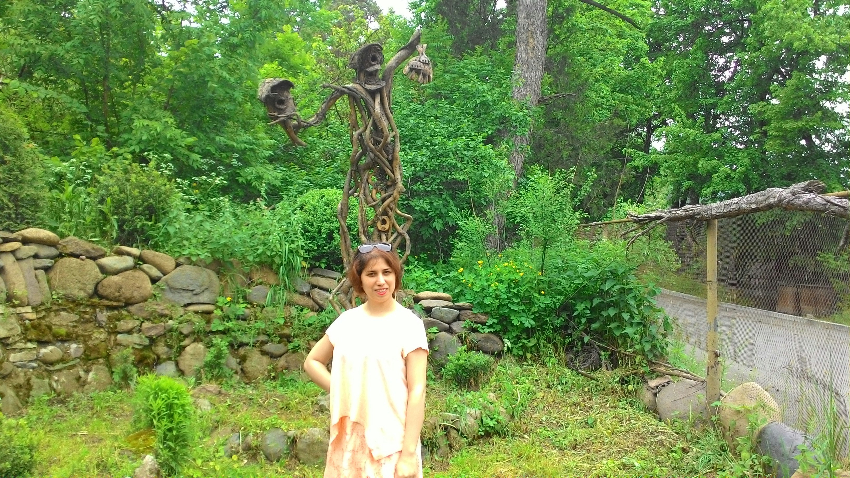 Free Unsplash photo from Sajedeh Yazdani