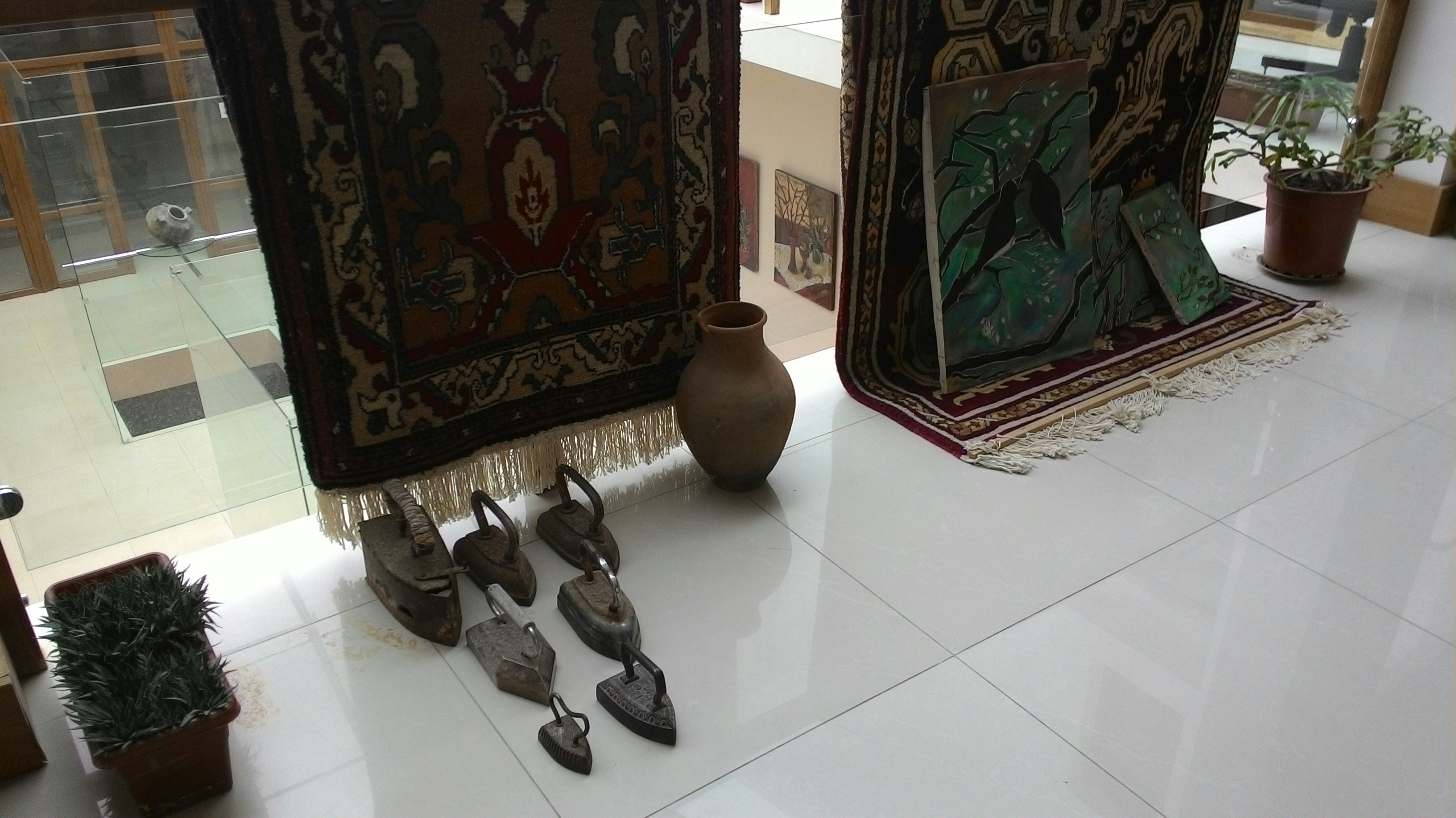 Free Unsplash photo from Sajedeh Yazdani