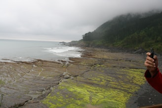 A rocky coastline with a mix of earthy brown and vibrant green hues on the rocks, possibly due to moss or seaweed. The ocean waves gently crash against the shore, and a dense forest covers the hillside under a blanket of low-lying clouds. A person in a red jacket holds a smartphone near the edge of the image, partially visible.
