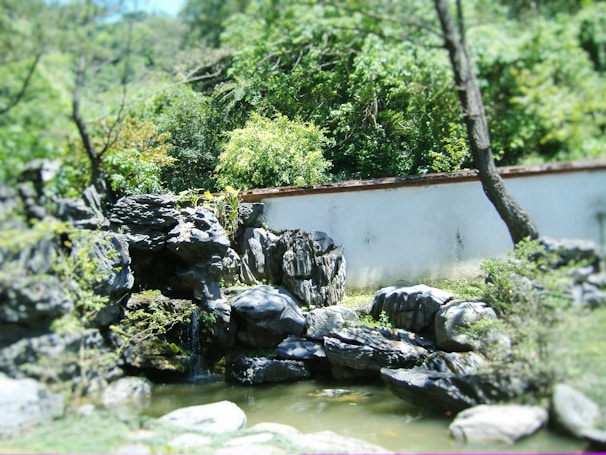 A tranquil setting featuring natural elements like stones and plants.