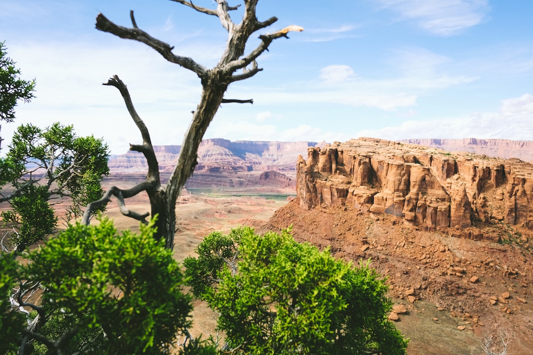 photo of Moab Badlands near Canyonlands National Park