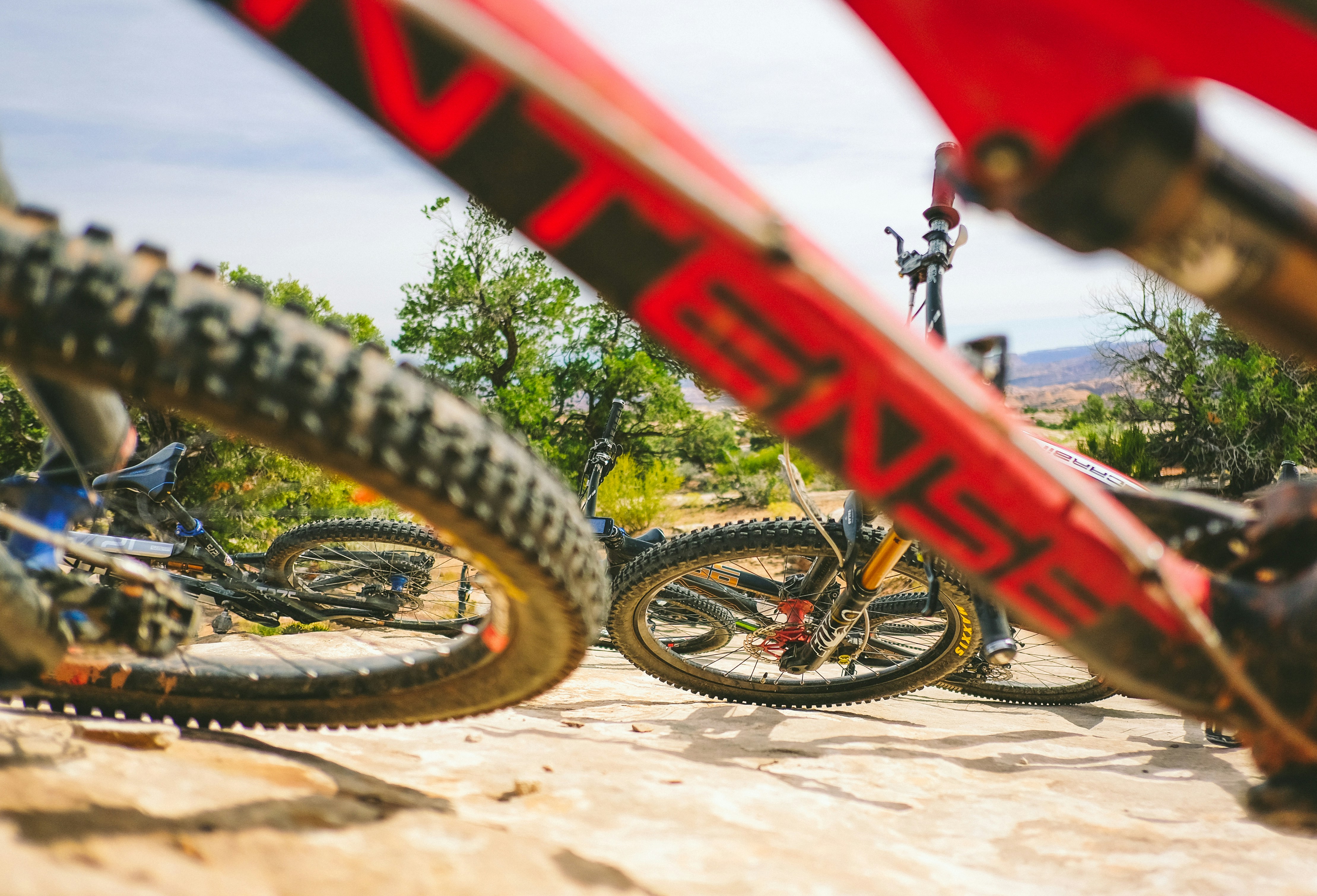 NIGHT PEDAL CRUISINGブログ