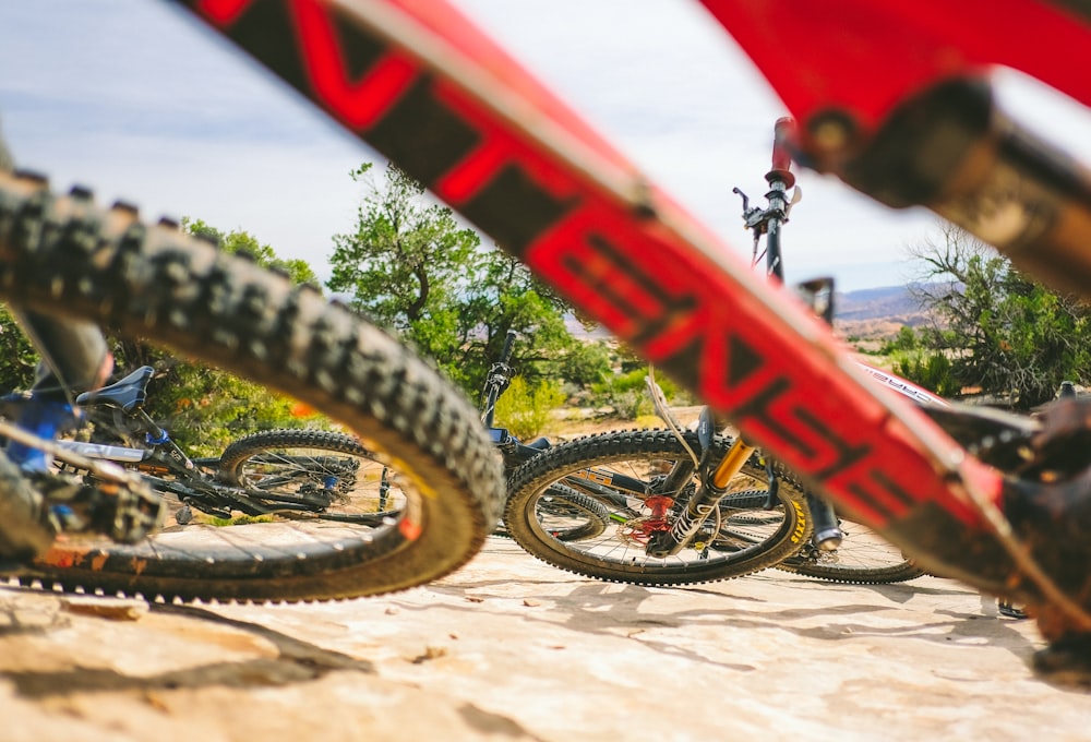 red and black bicycle