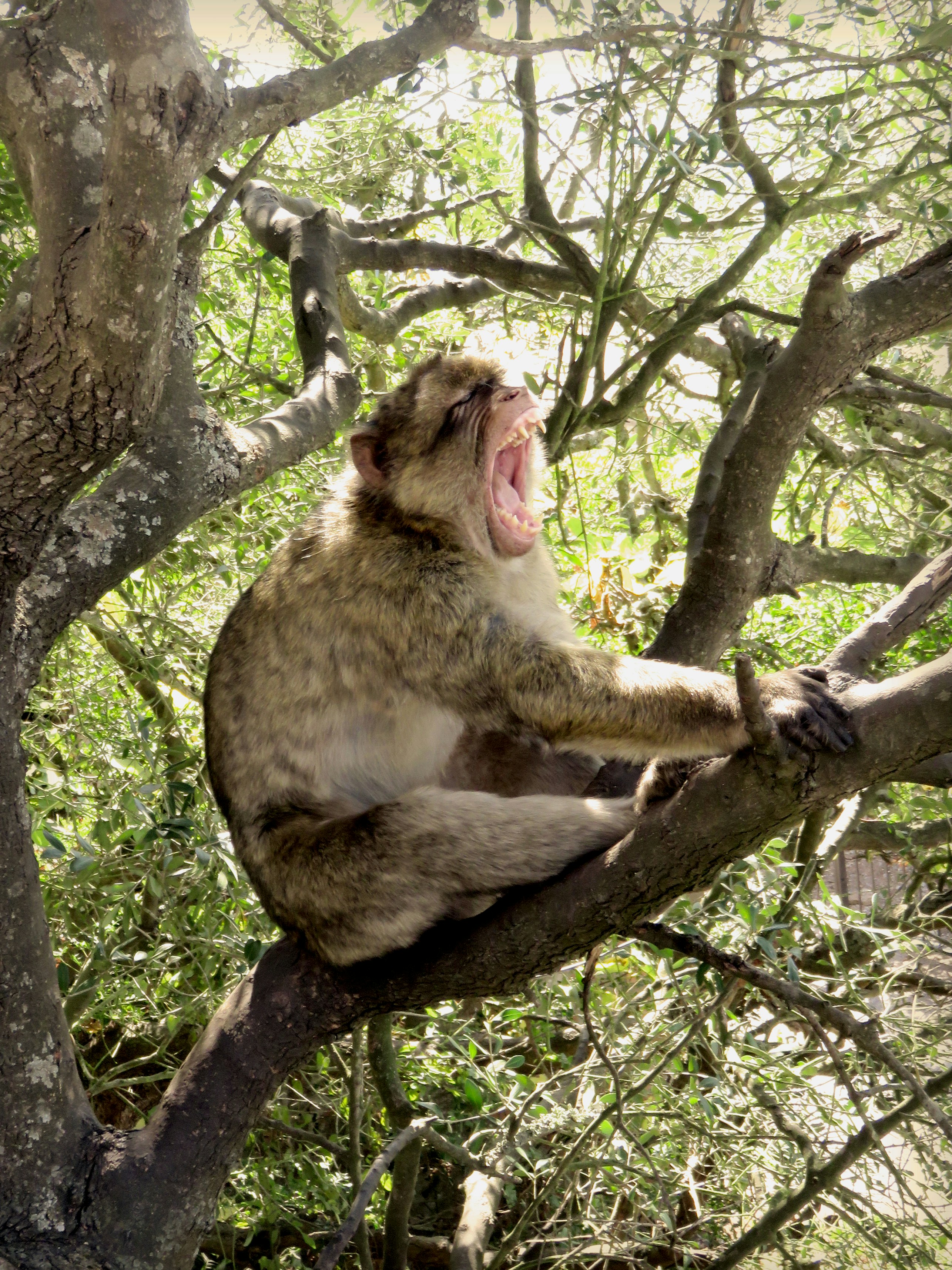 Free Unsplash photo from Nadine Hondebrink