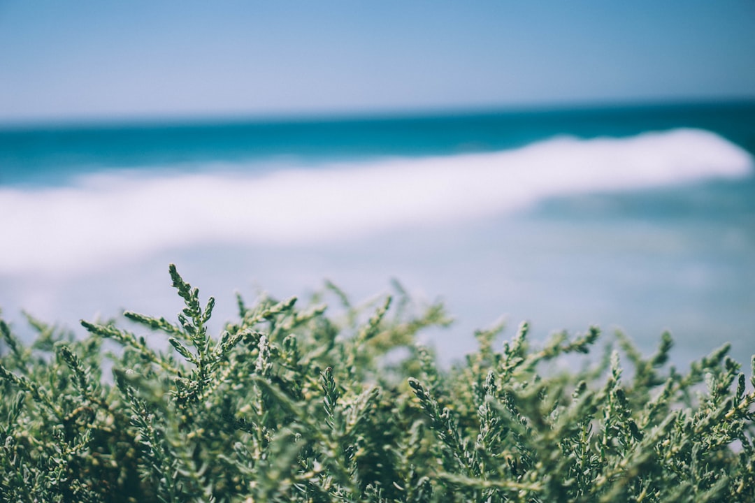 Shore photo spot Salt Creek Beach Long Beach