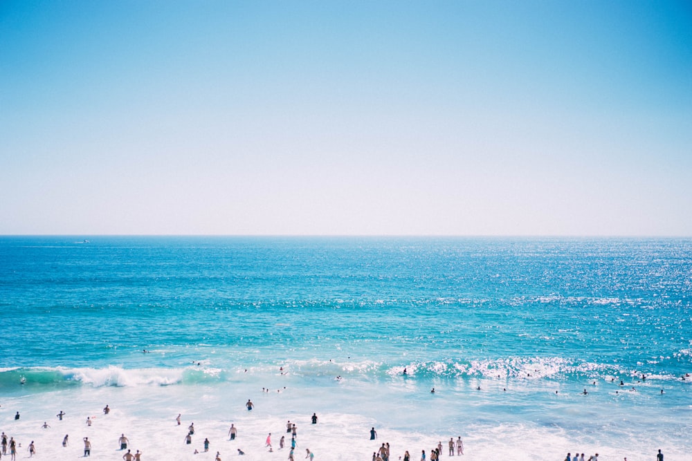 bird's eye view of people on sea