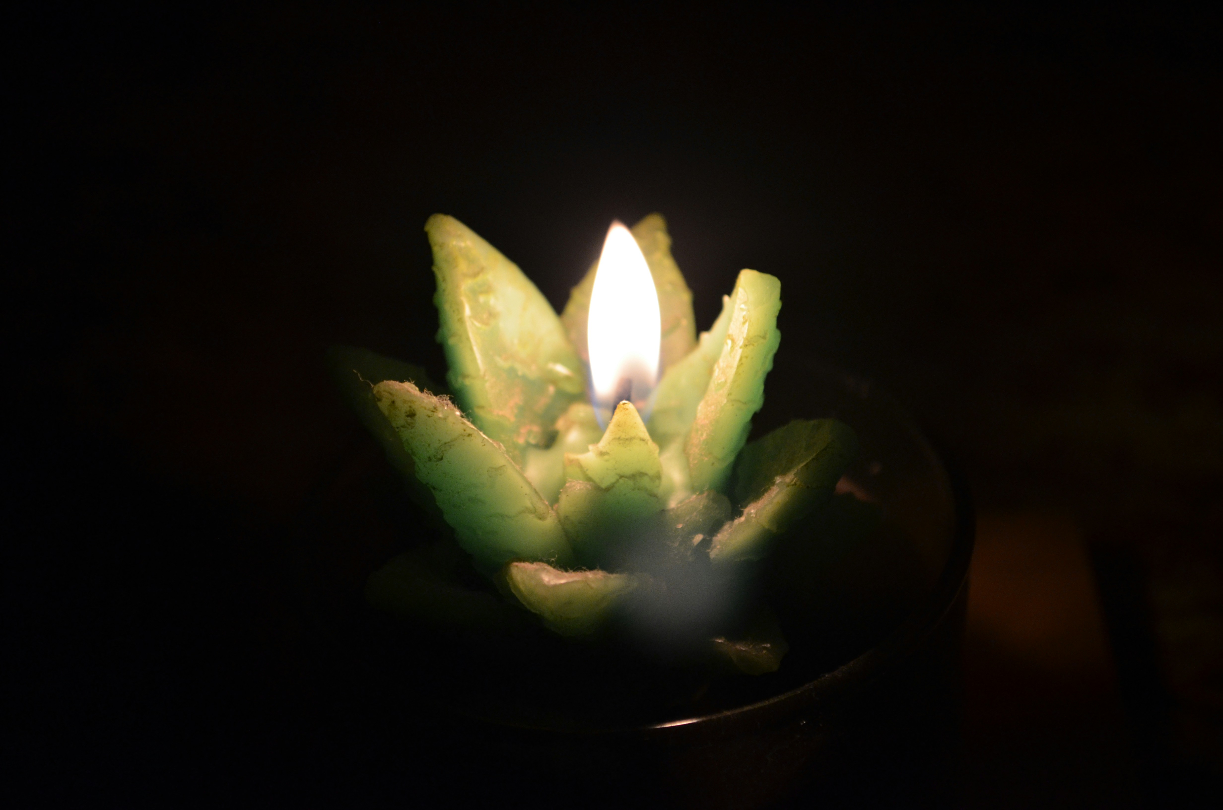 Free Unsplash photo from Gustavo Deliberador