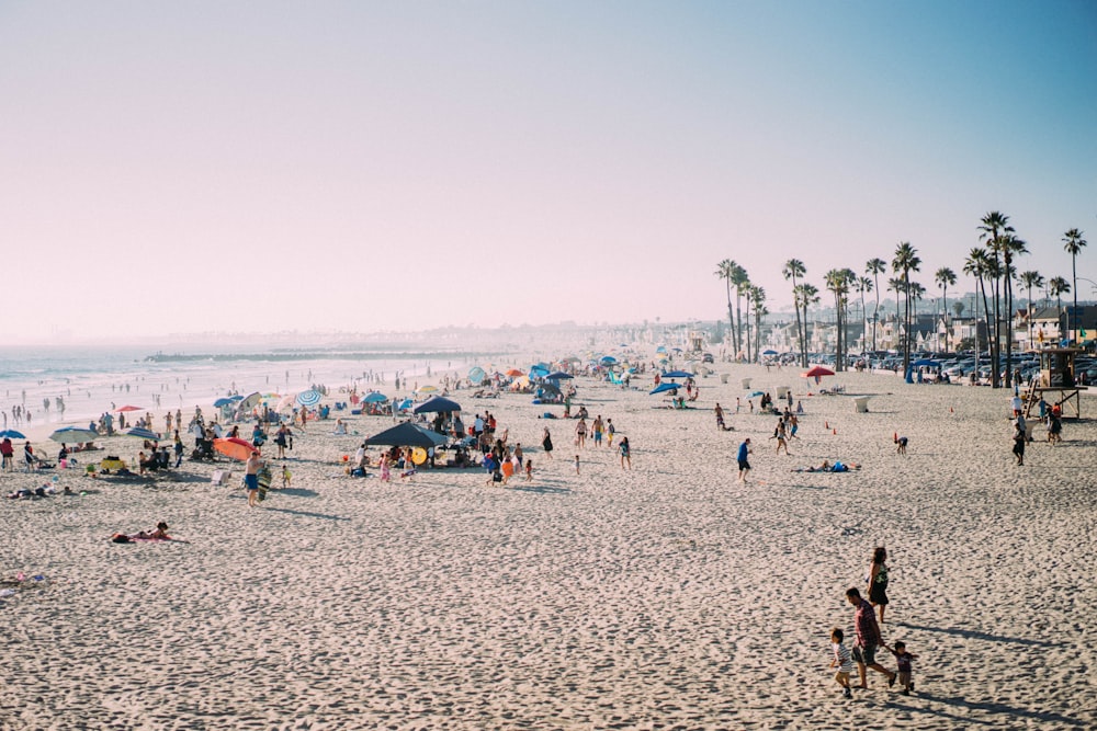 people on seashore during daytime