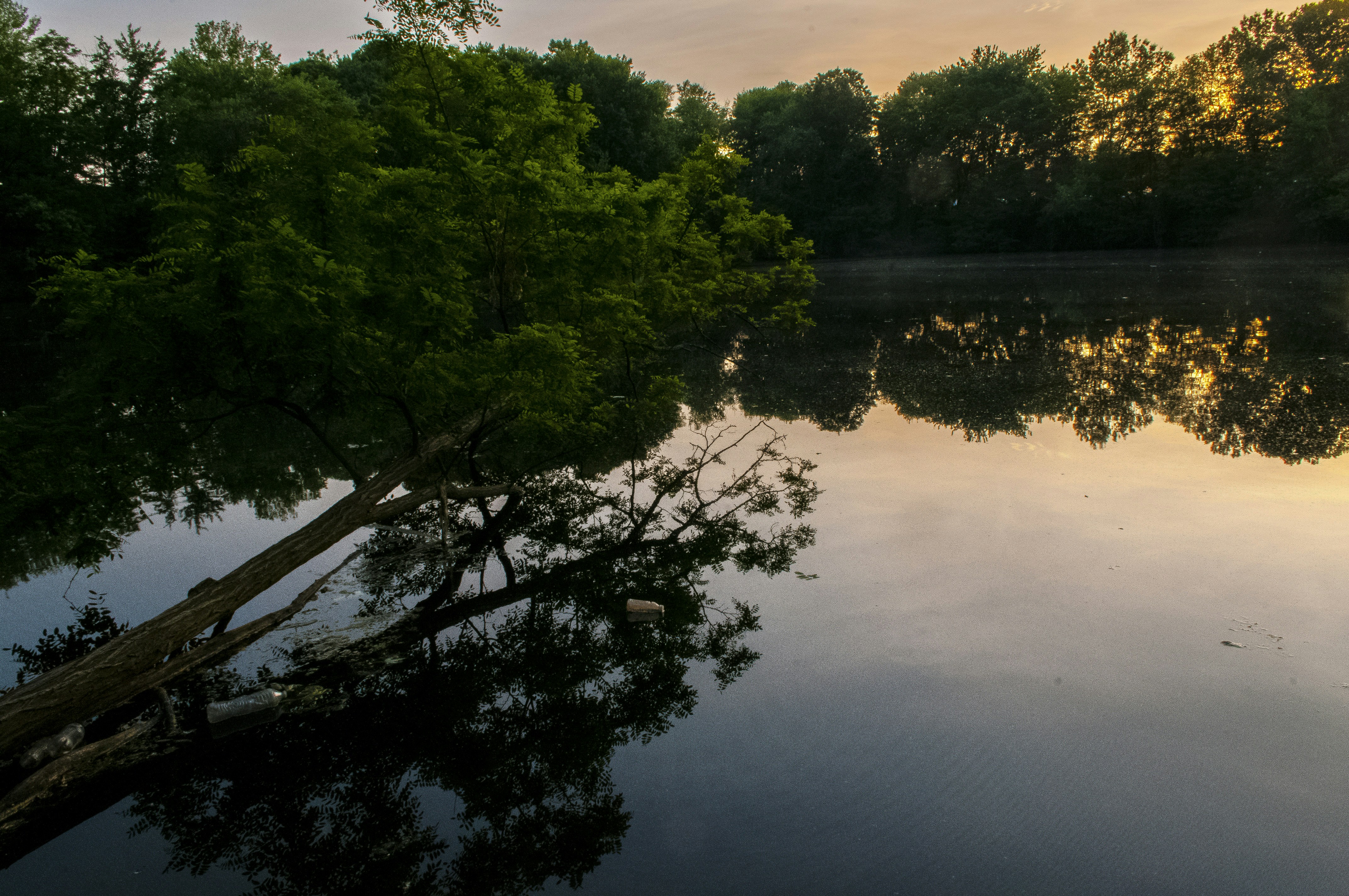 Free Unsplash photo from Matt Combs