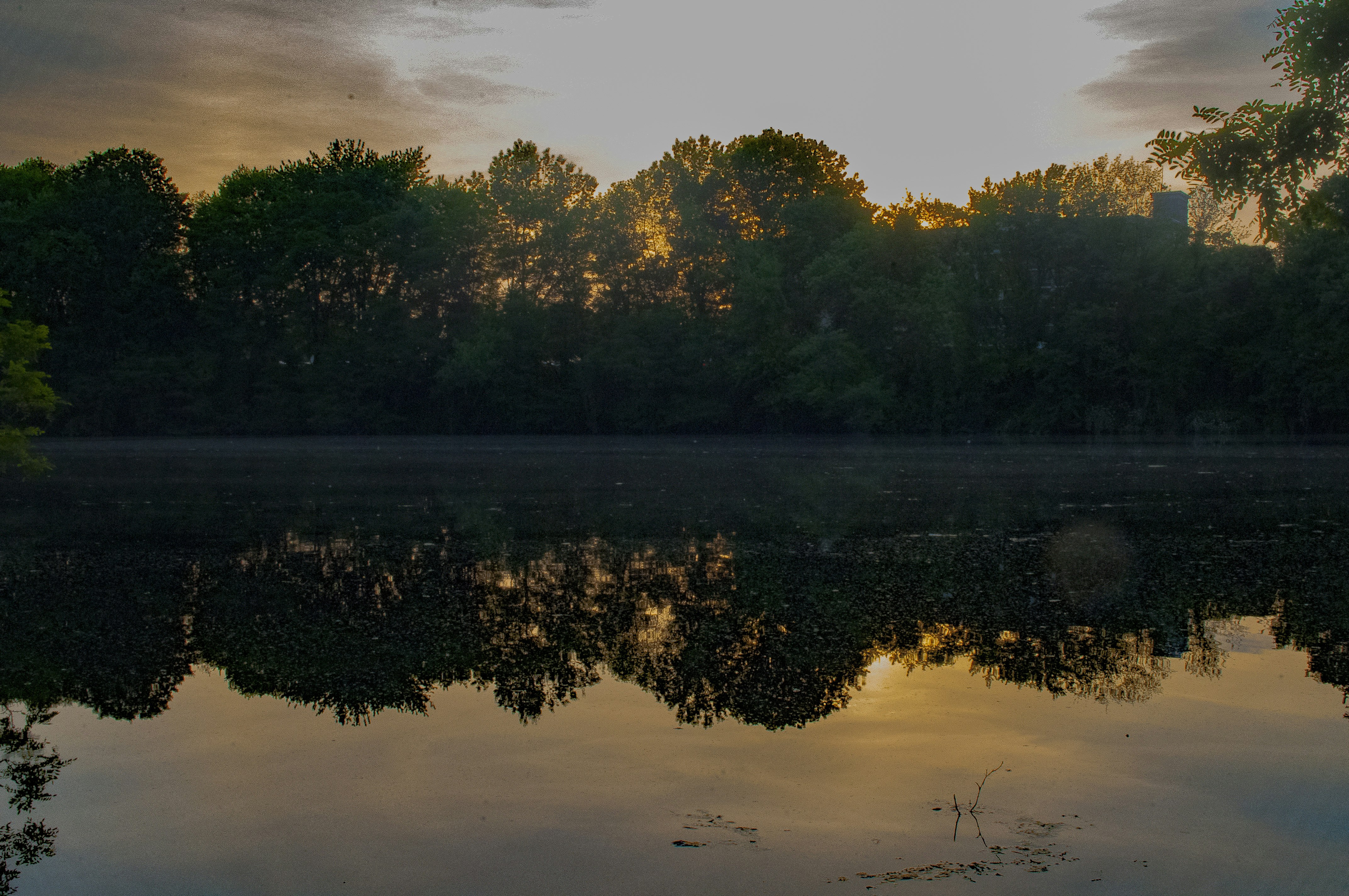 Free Unsplash photo from Matt Combs