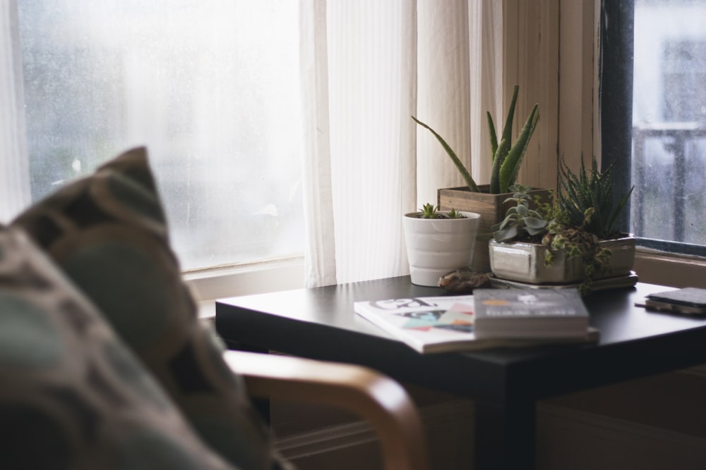 green aloe vera in pot on wooden table beside books