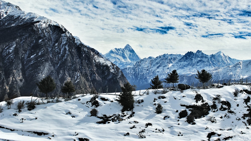 photographie de paysage de montagnes