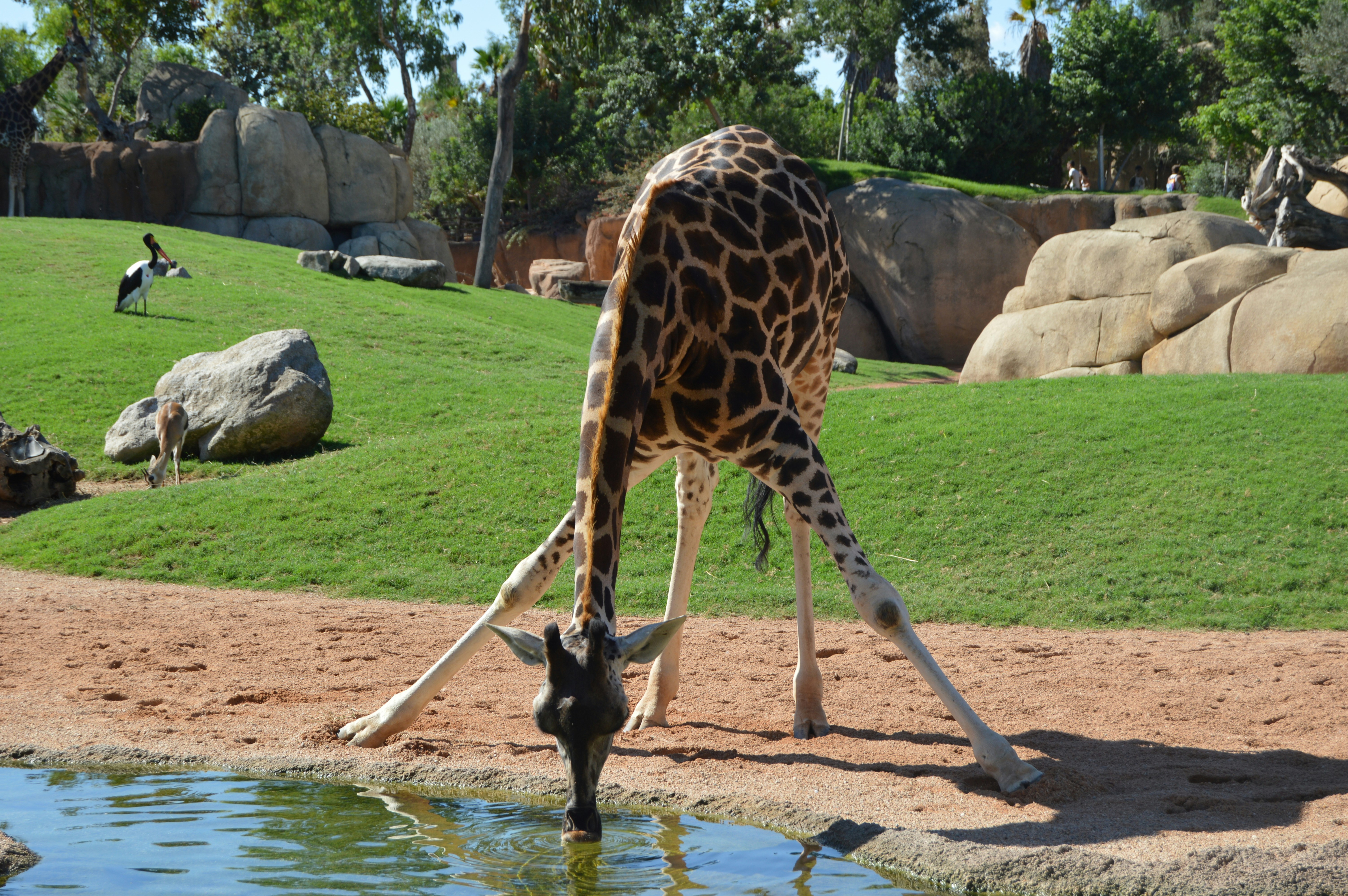 Free Unsplash photo from Agustin Michelini Carrau