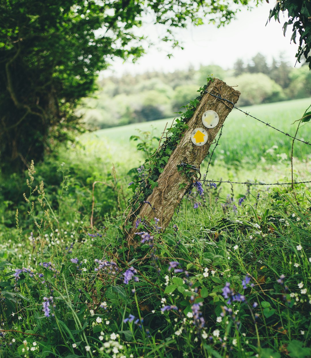 Nature reserve photo spot Exbury New Forest District