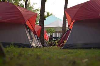 Several red and gray tents are pitched on a grassy area, surrounded by palm trees. A person is sitting among the tents, possibly on their phone. In the background, there is a building with a blue roof partially visible through the trees.