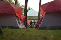 Several red and gray tents are pitched on a grassy area, surrounded by palm trees. A person is sitting among the tents, possibly on their phone. In the background, there is a building with a blue roof partially visible through the trees.