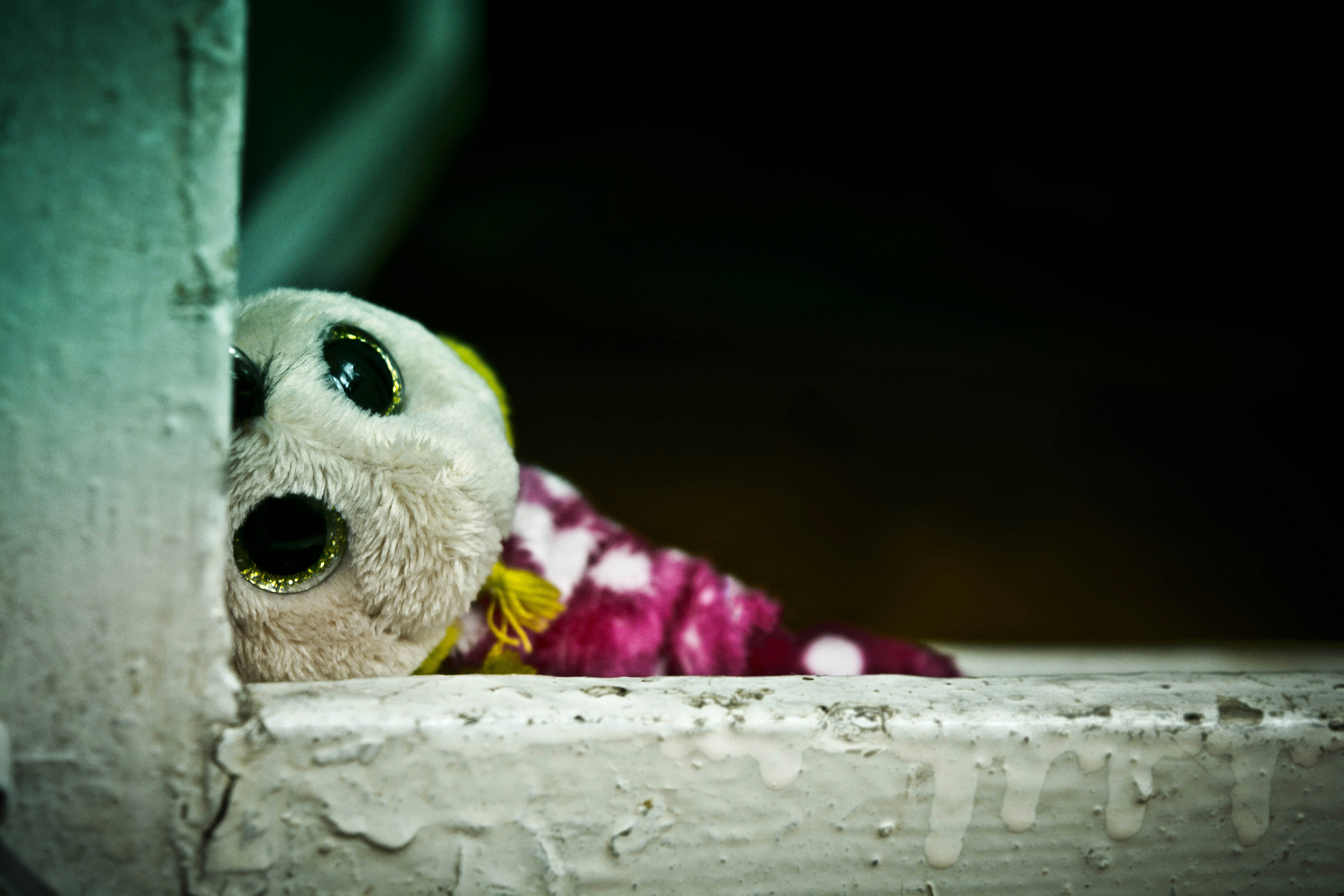 Brinquedo Interativo Pet