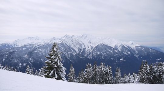 snowy forest and mountains under cloudy sky during daytime in Notre-Dame-de-Bellecombe France