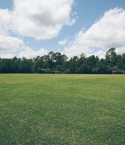 green grass field